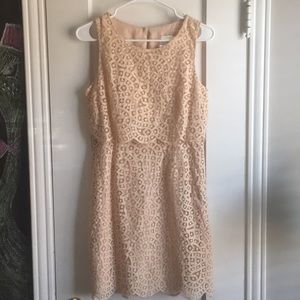 J. Crew Lace Dress